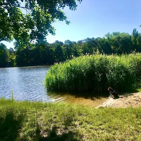 Partners Haus Clemens - Gemuetliches Holzhaus Mit Grundstueck Nahe Badesee 펜션 코니그스부슈터하우젠