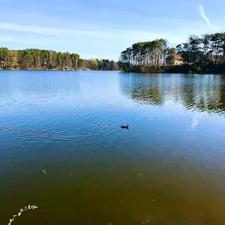 Partners Haus Clemens - Gemuetliches Holzhaus Mit Grundstueck Nahe Badesee 펜션 코니그스부슈터하우젠
