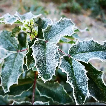 Semesterbostad Partners Haus Clemens - Gemuetliches Holzhaus Mit Grundstueck Nahe Badesee *