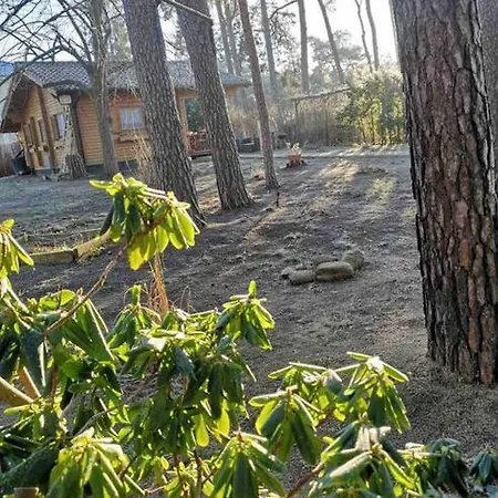 Partners Haus Clemens - Gemuetliches Holzhaus Mit Grundstueck Nahe Badesee