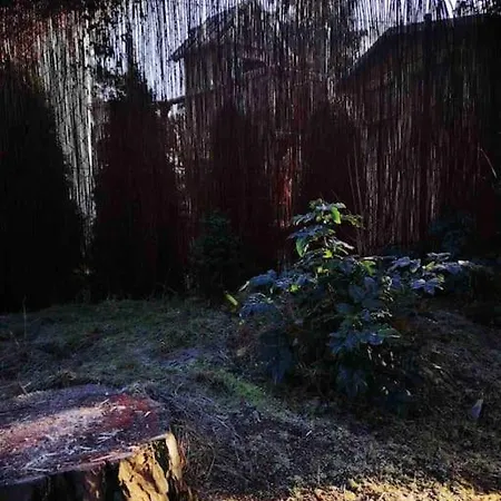 Partners Haus Clemens - Gemuetliches Holzhaus Mit Grundstueck Nahe Badesee * 코니그스부슈터하우젠