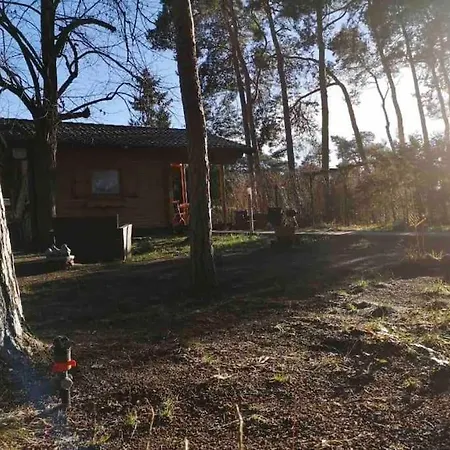 Partners Haus Clemens - Gemuetliches Holzhaus Mit Grundstueck Nahe Badesee *