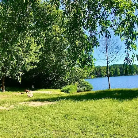 Partners Haus Clemens - Gemuetliches Holzhaus Mit Grundstueck Nahe Badesee *