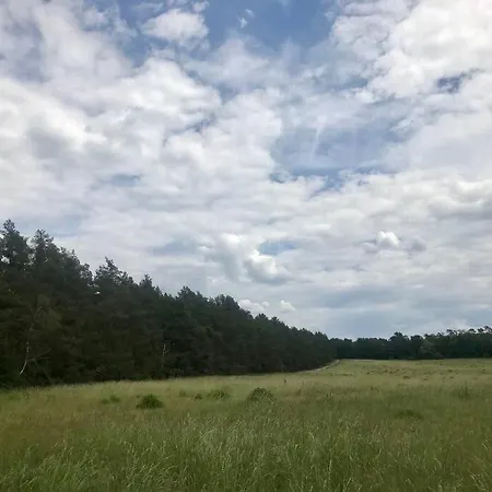 Partners Haus Clemens - Gemuetliches Holzhaus Mit Grundstueck Nahe Badesee Semesterbostad *