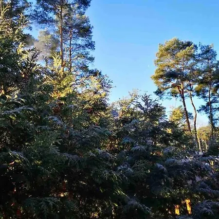 Partners Haus Clemens - Gemuetliches Holzhaus Mit Grundstueck Nahe Badesee * 코니그스부슈터하우젠
