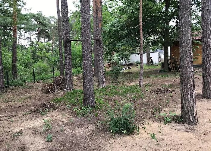 Partners Haus Clemens - Gemuetliches Holzhaus Mit Grundstueck Nahe Badesee
