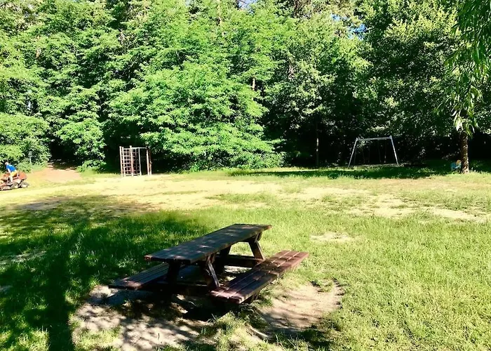 Partners Haus Clemens - Gemuetliches Holzhaus Mit Grundstueck Nahe Badesee Dom wakacyjny *