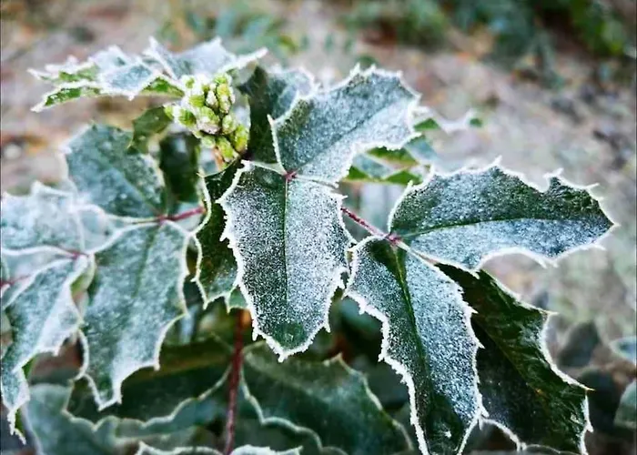 Dom wakacyjny Partners Haus Clemens - Gemuetliches Holzhaus Mit Grundstueck Nahe Badesee *