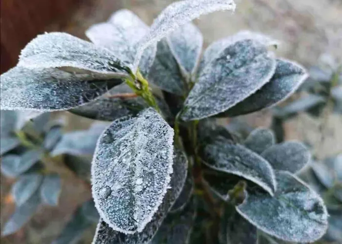 Dom wakacyjny Partners Haus Clemens - Gemuetliches Holzhaus Mit Grundstueck Nahe Badesee Königs Wusterhausen