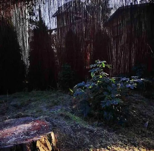 Partners Haus Clemens - Gemütliches Holzhaus Mit Grundstück Nahe Badesee * Königs Wusterhausen