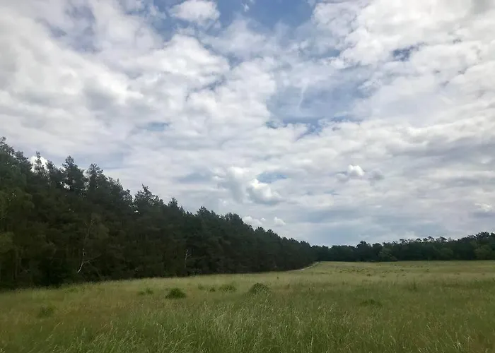 Partners Haus Clemens - Gemuetliches Holzhaus Mit Grundstueck Nahe Badesee Dom wakacyjny *