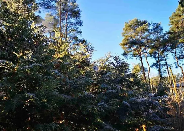 Partners Haus Clemens - Gemuetliches Holzhaus Mit Grundstueck Nahe Badesee * Königs Wusterhausen